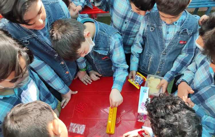 :حیات پایا/حیاط پویا 4