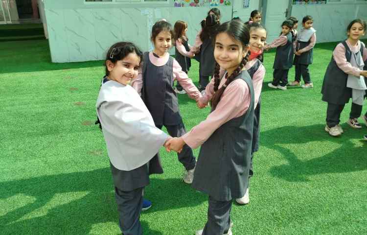 حیات پویا، حیاط پایا 3