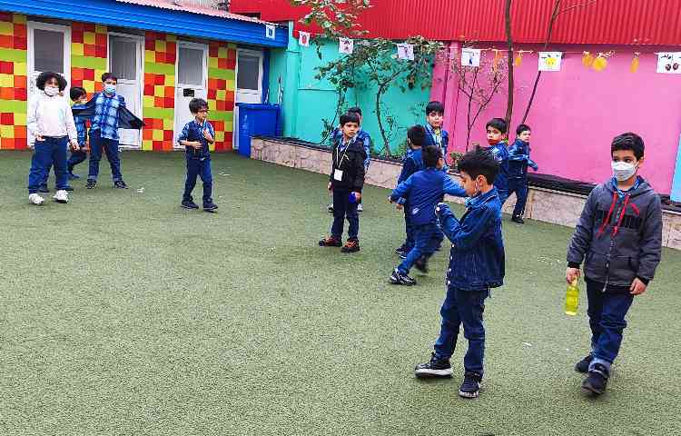 :حیاط شاد، کلاس انگور 1