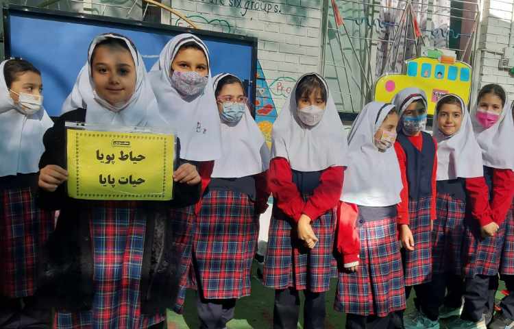 حیاط پویا ، حیات پایا