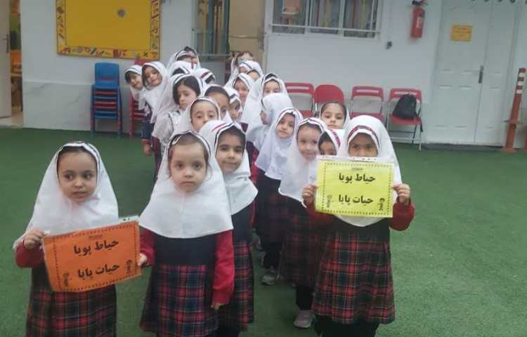 حیاط پویا ، حیات پایا