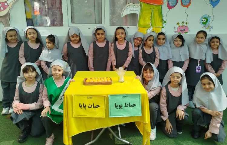 حیاط پویا، حیات پایا