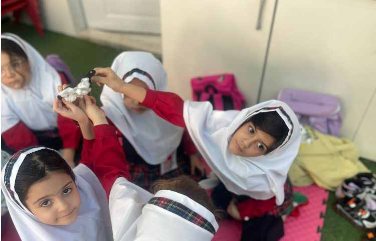 حیوانات مزرعه 3