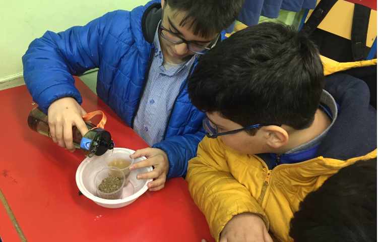 خاک زیست و پوکی استخوان هفته ملی علوم 1