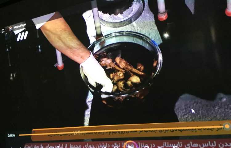 خاک زیست و پوکی استخوان هفته ملی علوم 2