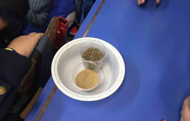 خاک زیست و پوکی استخوان هفته ملی علوم 6