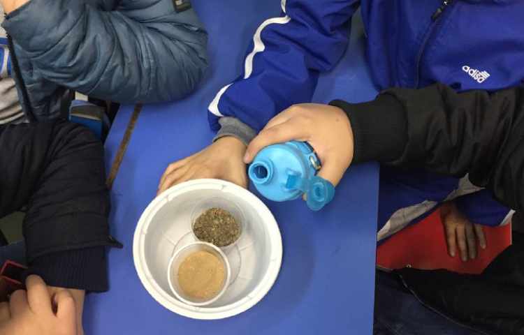 خاک زیست و پوکی استخوان هفته ملی علوم 8