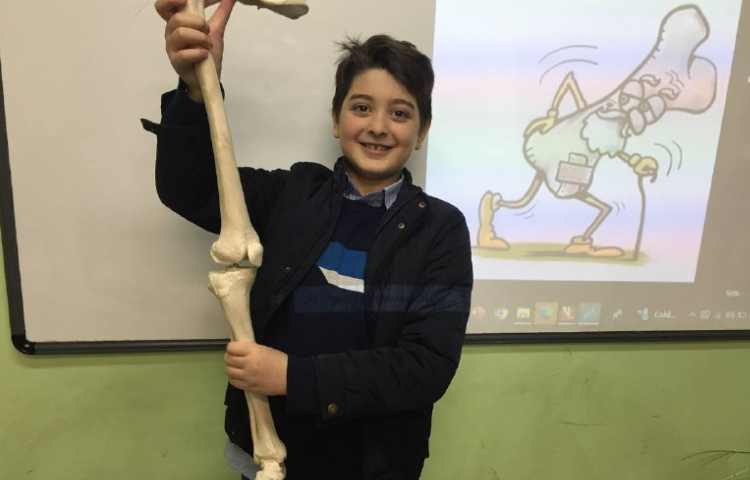 خاک زیست و پوکی استخوان هفته ملی علوم