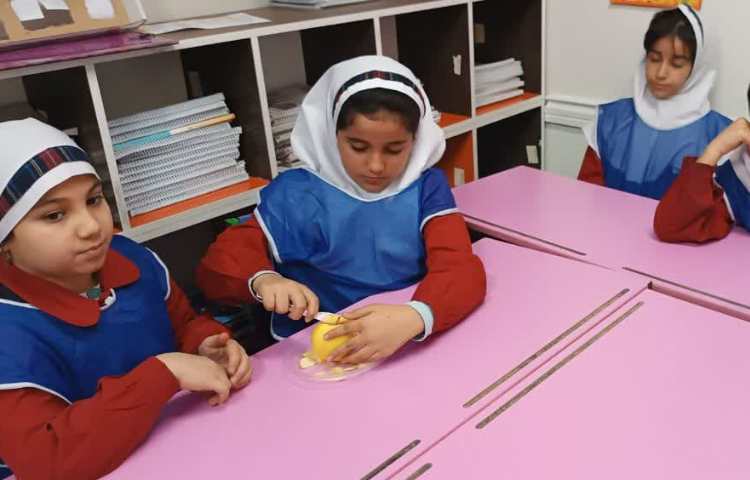 خواص میوه ها 2