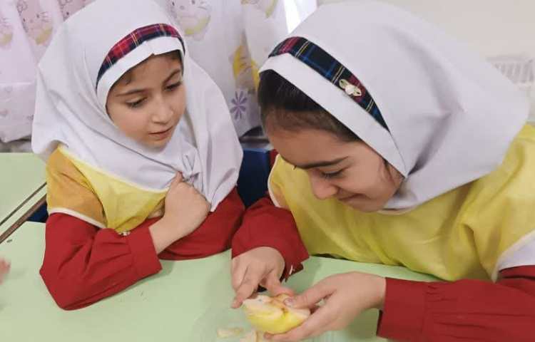 خواص میوه ها 5