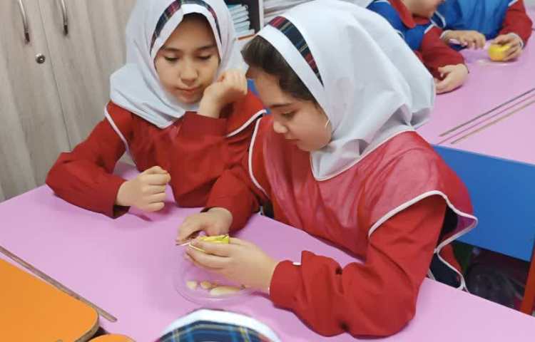 خواص میوه ها 7