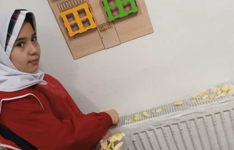 خواص میوه ها 9