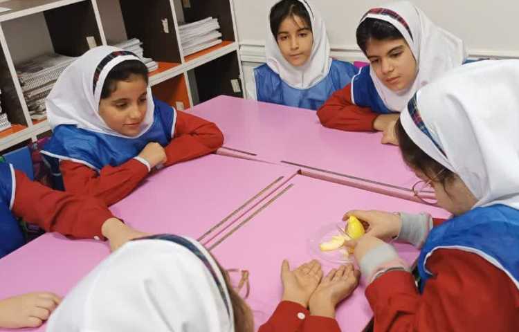 خواص میوه ها