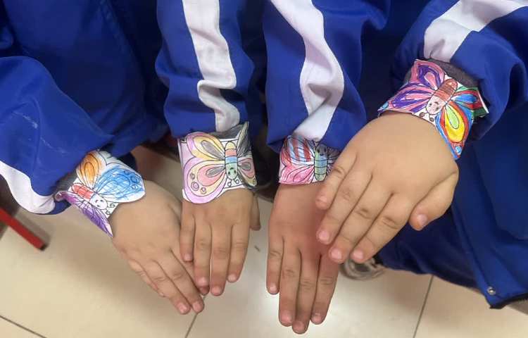 خوانداری( پ) کاردستی پروانه 2