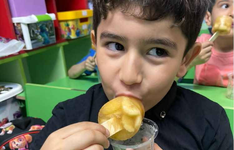 خوراکی سالم و ناسالم تهیه ی بستنی آلاسکایی 4