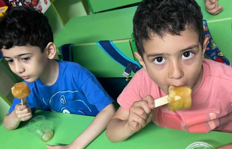 خوراکی سالم و ناسالم تهیه ی بستنی آلاسکایی 5