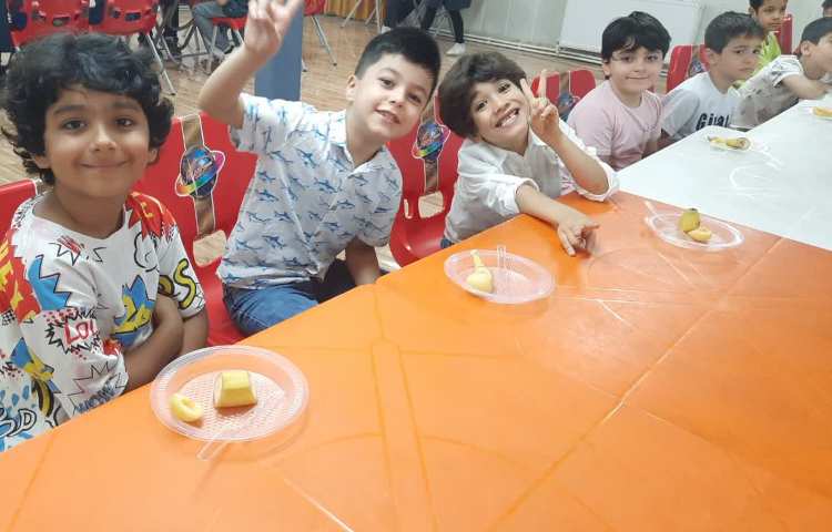 خوراکی سالم و ناسالم و درست کردن بستنی آلاسکای 2