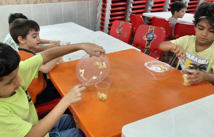 خوراکی سالم و ناسالم و درست کردن بستنی آلاسکای 3