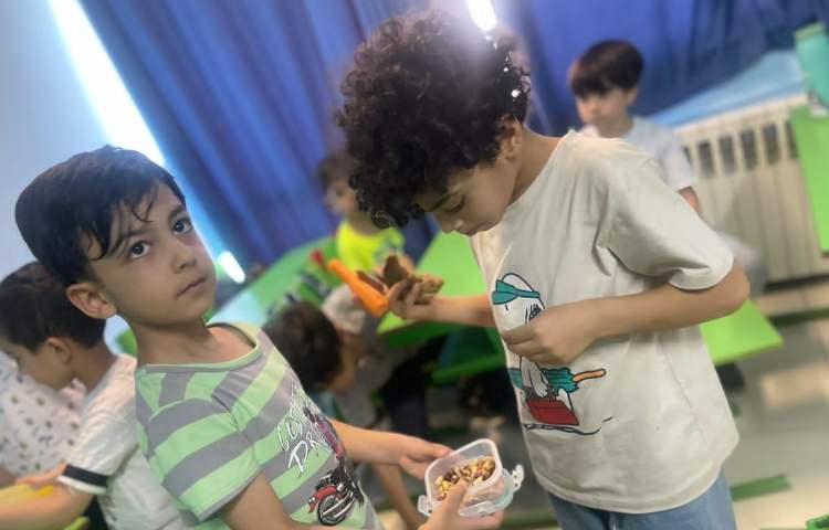 خوراکی های سالم و ناسالم 4