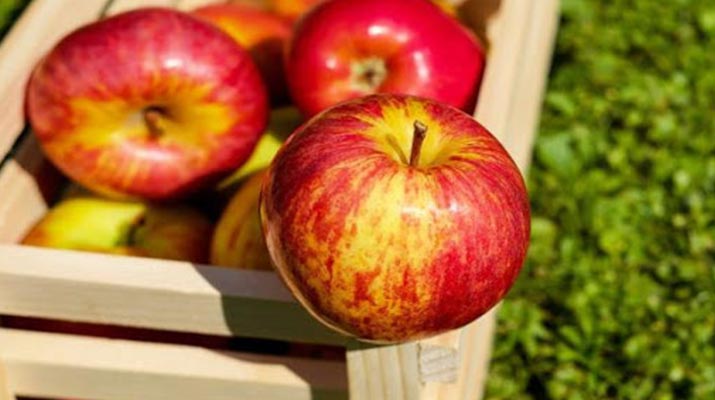 روزی یک سیب بخوریم