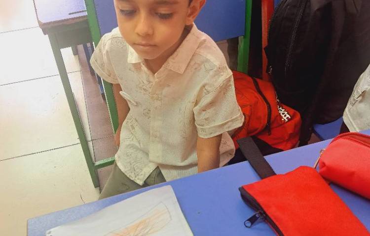 دانشمندکوچک / تشخیص گل ، ساقه ،برگ ،ریشه 1