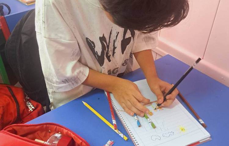 دانشمندکوچک / تشخیص گل ، ساقه ،برگ ،ریشه 2