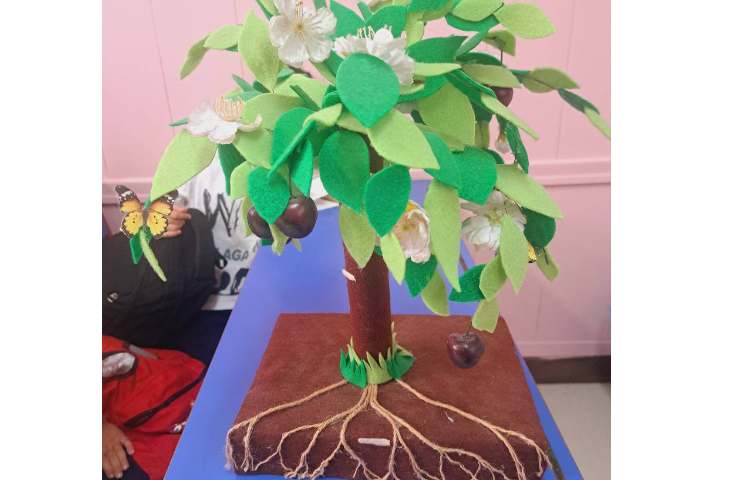 دانشمندکوچک / تشخیص گل ، ساقه ،برگ ،ریشه 3