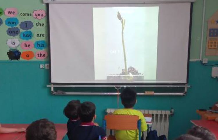 دانشمند کوچک(آشنایی با اجزای مختلف گیاه) 1