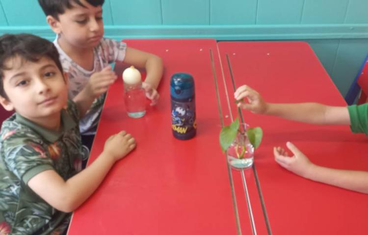 دانشمند کوچک(آشنایی با اجزای مختلف گیاه) 3