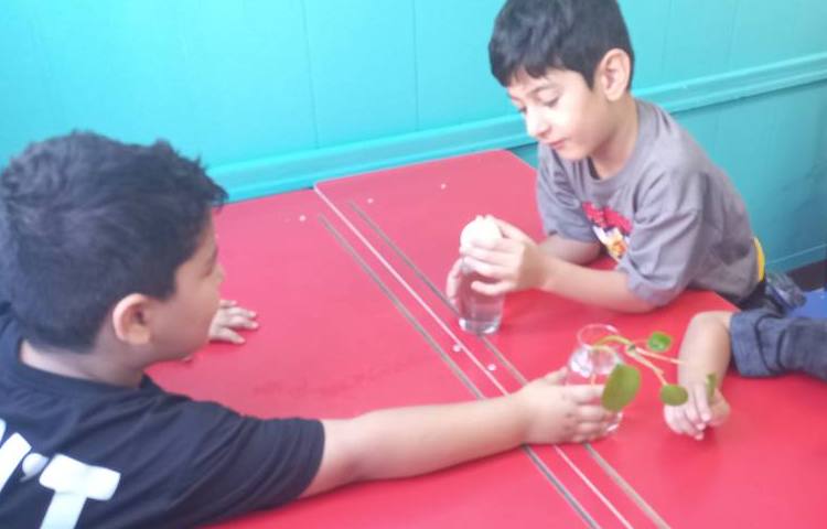 دانشمند کوچک(آشنایی با اجزای مختلف گیاه) 4