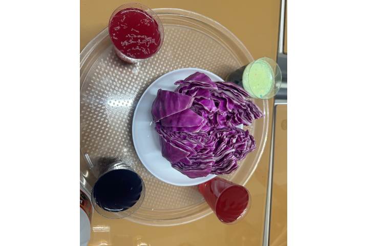 دانشمند کوچک:رنگی رنگی 1