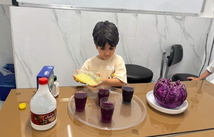 دانشمند کوچک:رنگی رنگی 2