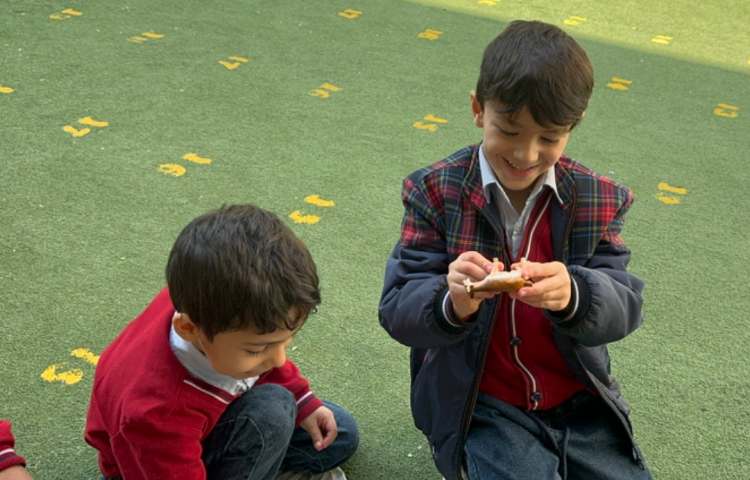 دانشمند کوچک:نجات حیوانات یخ‌زده 1