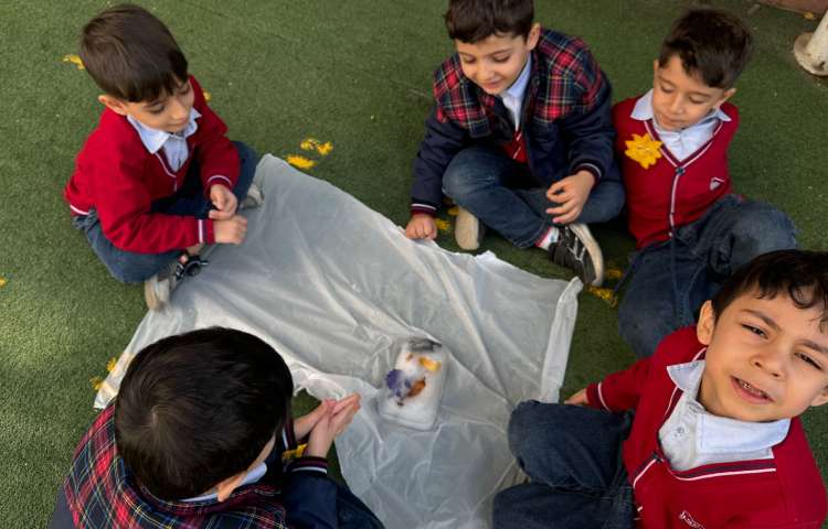 دانشمند کوچک:نجات حیوانات یخ‌زده 3