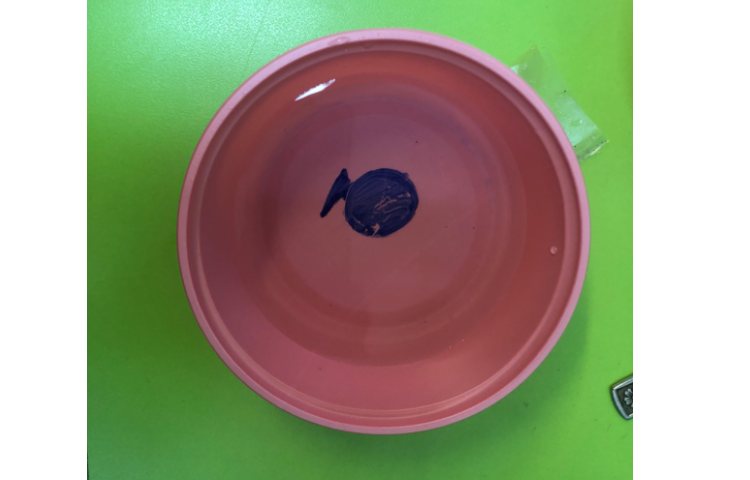 دانشمند کوچک:نقاشی متحرک 4