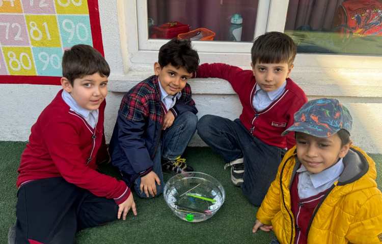 دانشمند کوچک: آزمایش سبک و سنگین 2