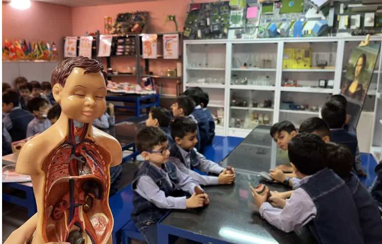 دانشمند کوچک( آشنایی با اعضای بدن درونی) 2