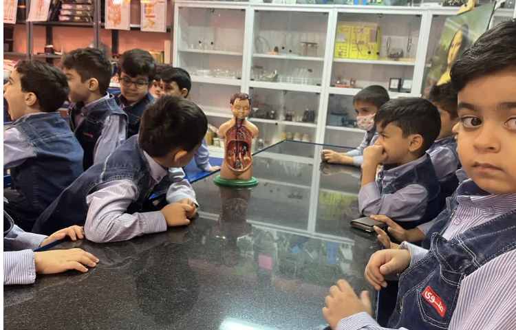 دانشمند کوچک( آشنایی با اعضای بدن درونی) 3