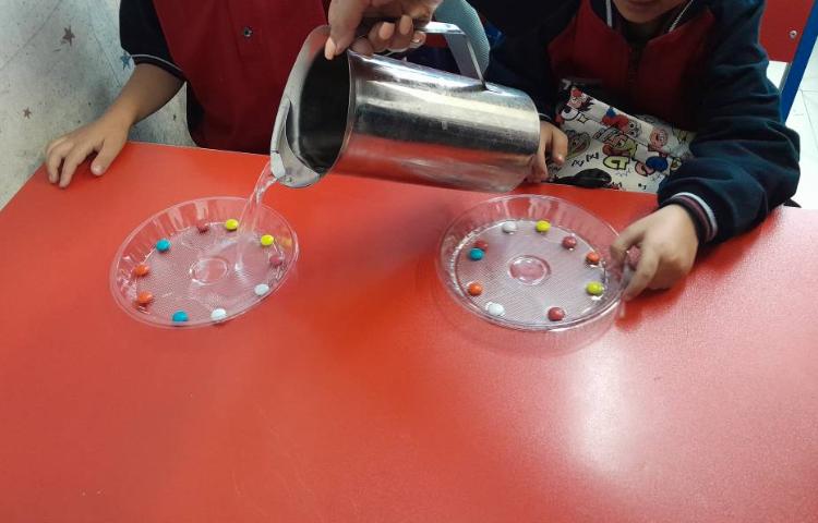 دانشمند کوچک اسمارتیز های رنگی 4