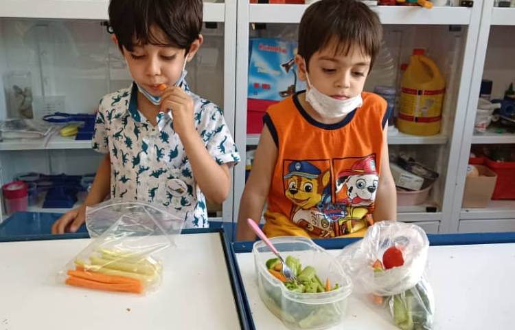 : دانشمند کوچک، تغذیه مفید و مضر، کلاس بادبادک