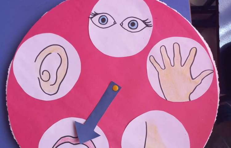 دانشمند کوچک حواس پنجگانه 1