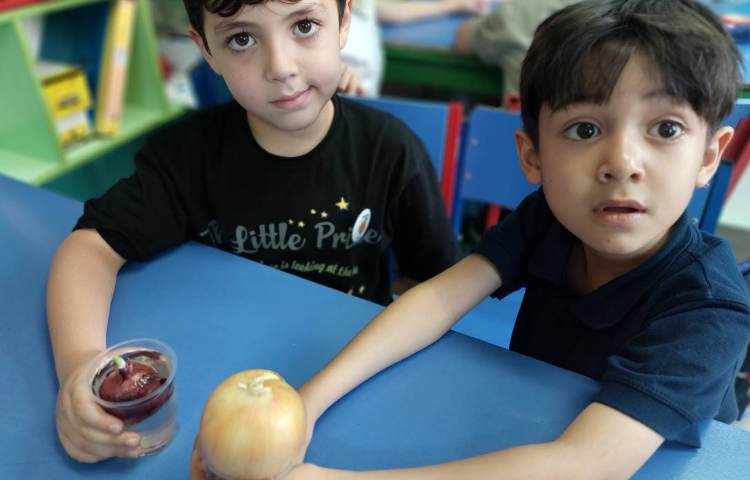 دانشمند کوچک شناخت گیاهان