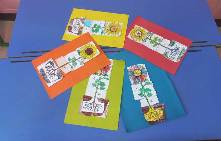 دانشمند کوچک (علوم) آزمایش جوانه زدن پیاز کاربرگ قسمت های گیاه 2