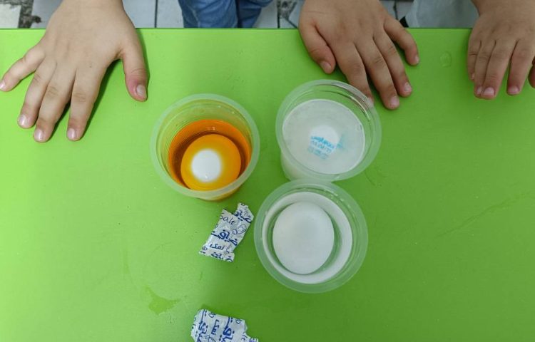 دانشمند کوچک مبحث: آزمایش آشنایی با چگالی آب 1