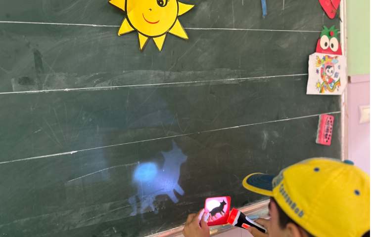 دانشمند کوچک و سایه بازی