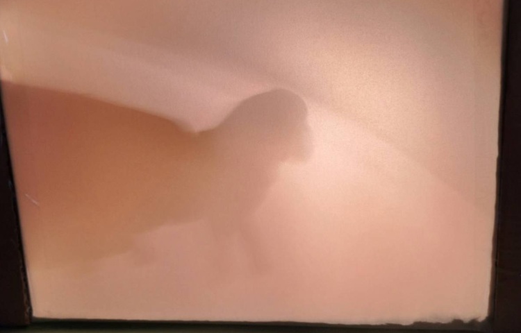 : دانشمند کوچک، چگونگی تشکیل سایه‌ها 2