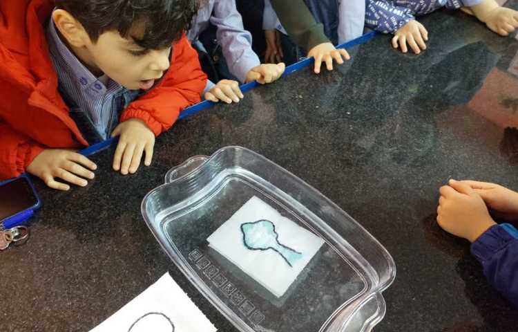 دانشمند کوچک 1