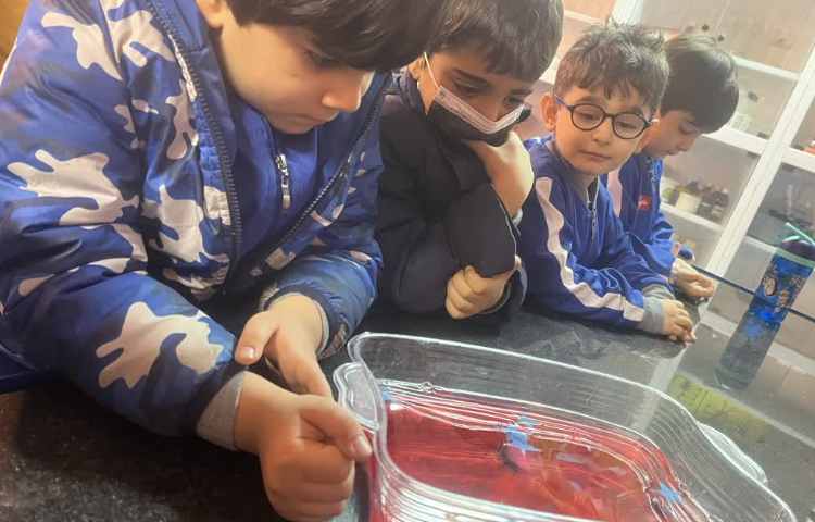 دانشمند کوچک 1