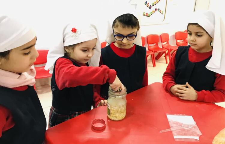 دانشمند کوچک 1