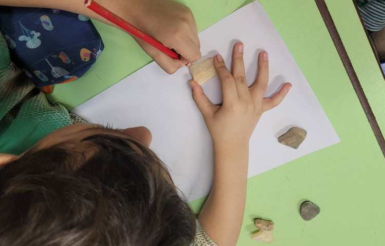 دانشمند کوچک 1